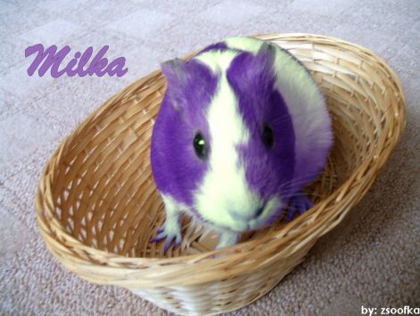 milka.jpg